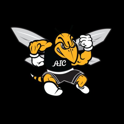 AIC fall sports wrap up