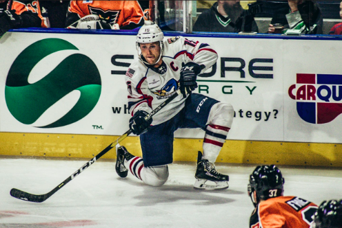 Springfield Thunderbirds: a promising season