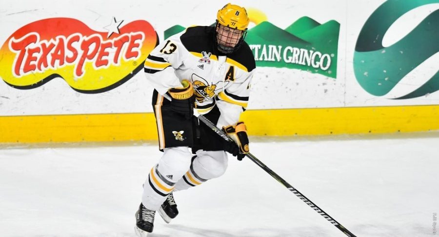 AIC Hockey – the right kind of energy