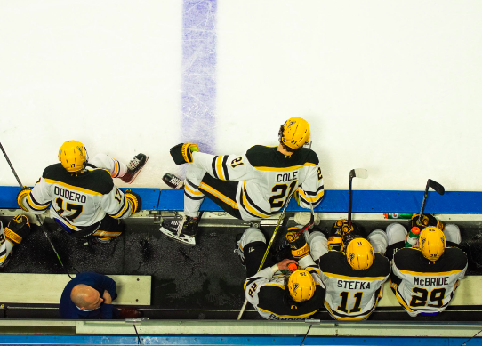 AIC Hockey and their historical season