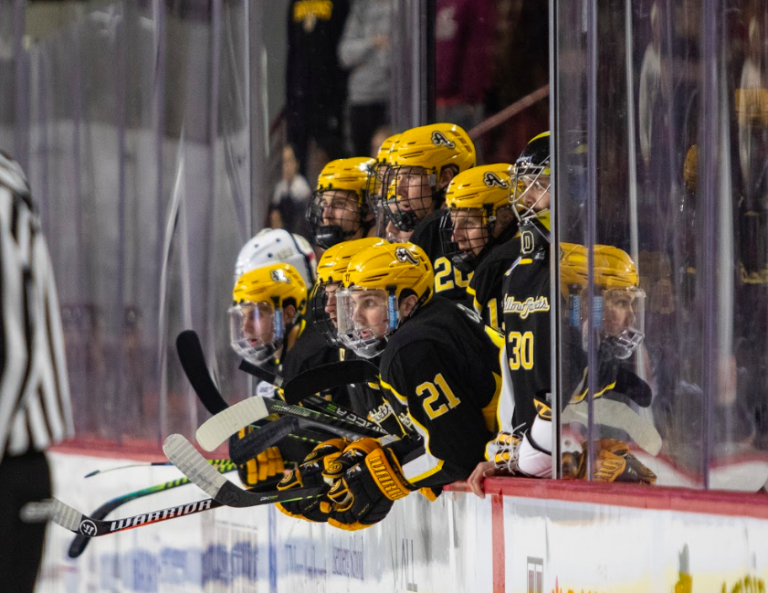 AIC hockey sets record with highest-scoring win of the season – AIC ...