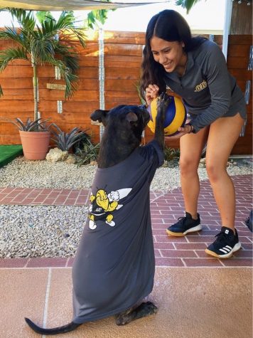 Members of the AIC Volleyball Team pose with their pups to keep spirits high