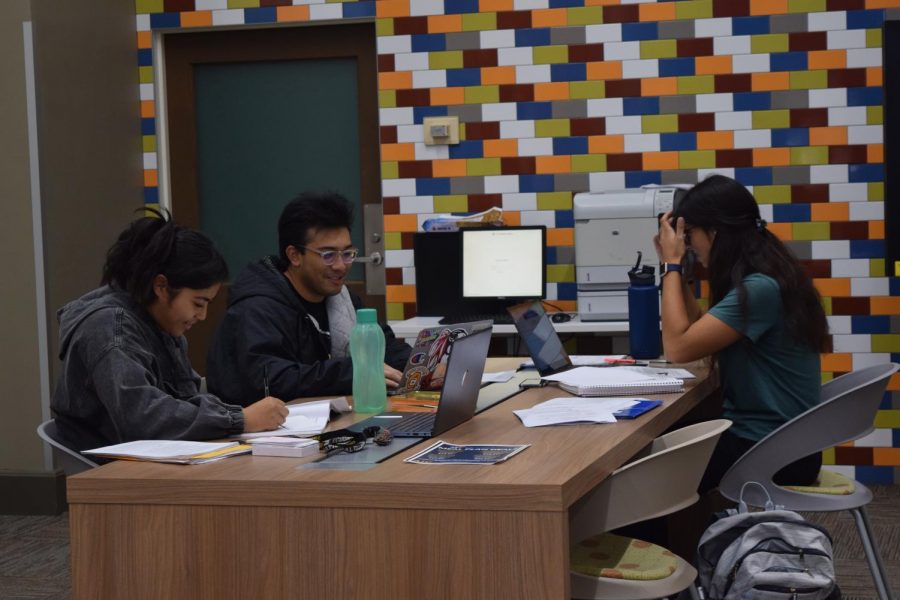 Students study in the Shea Library.
