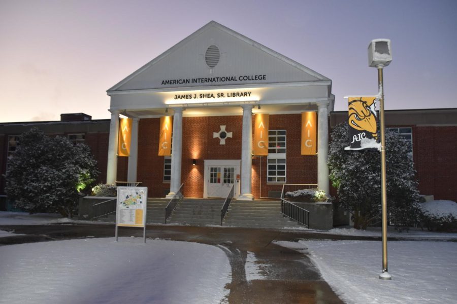 The Shea Library at dawn after snowfall.