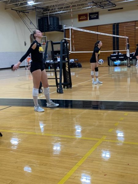 Southern Connecticut Owls Feel The Sting Of The Yellow Jackets In Womens Volleyball
