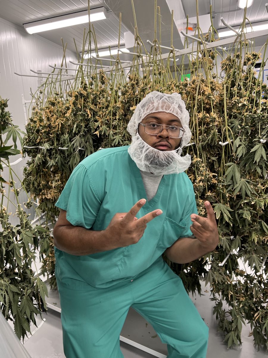 Kamron Green at a cannabis grow farm in New Jersey, during the summer of 2023.